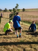 Youth planting tree at Wahoo Sunrise Cemetery